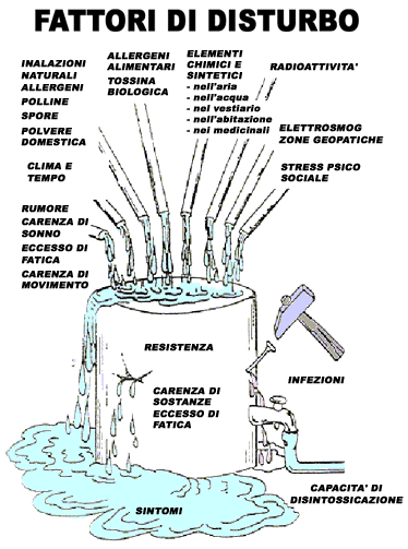 Immagine inserita